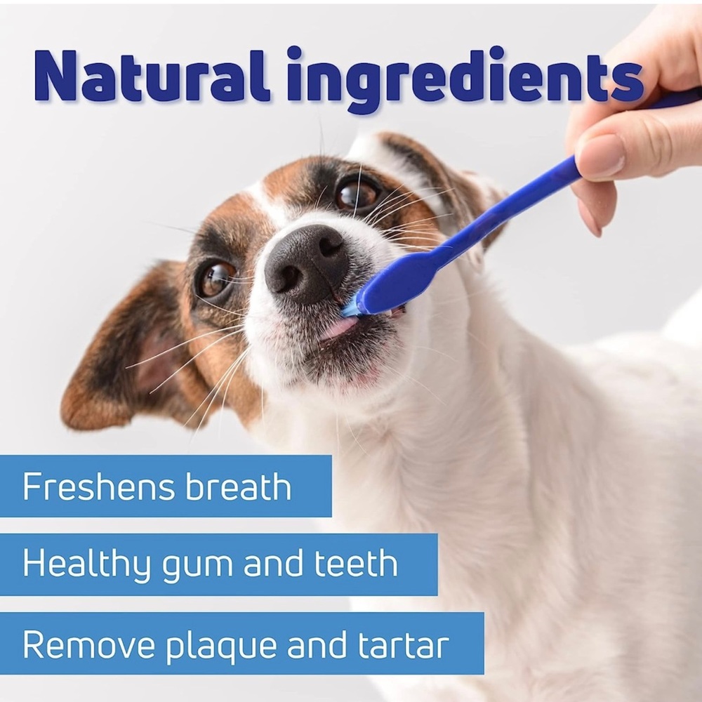 Cat / Dog Toothpaste Toothbrush Set - Picture 3 of 11